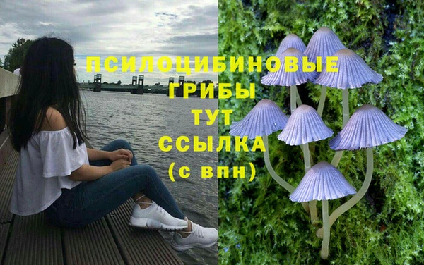 ГАЛЛЮЦИНОГЕННЫЕ ГРИБЫ Вязьма