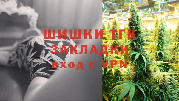 ГАЛЛЮЦИНОГЕННЫЕ ГРИБЫ Вязьма