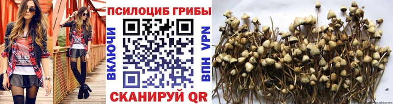 Псилоцибиновые грибы GOLDEN TEACHER  Купить где  Подпорожье 